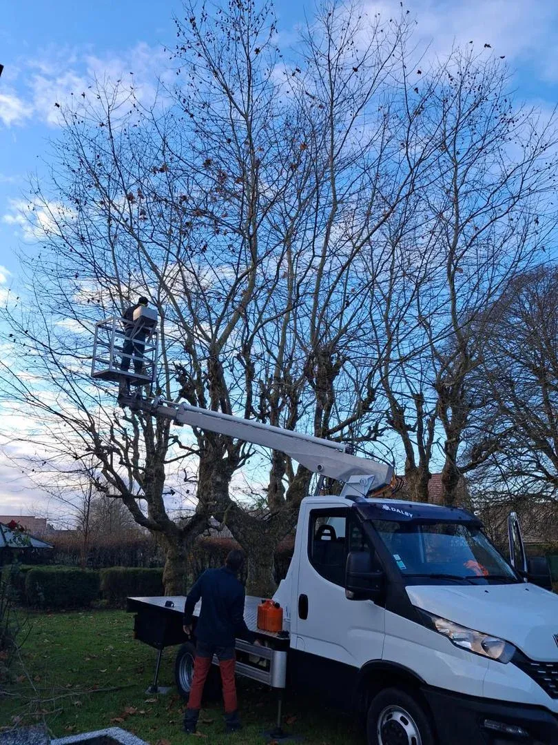 Élagage en grande hauteur au camion nacelle élévatrice