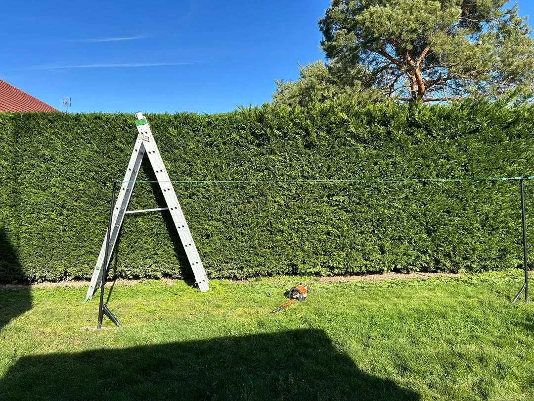 Savoir-faire de Moriau Élagage sur le terrain