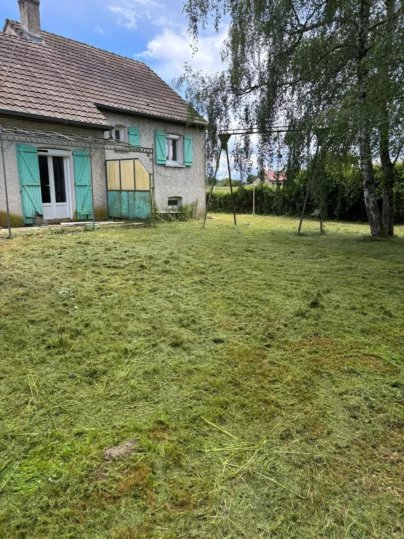 Débroussaillage et remise au propre complète d'un jardin