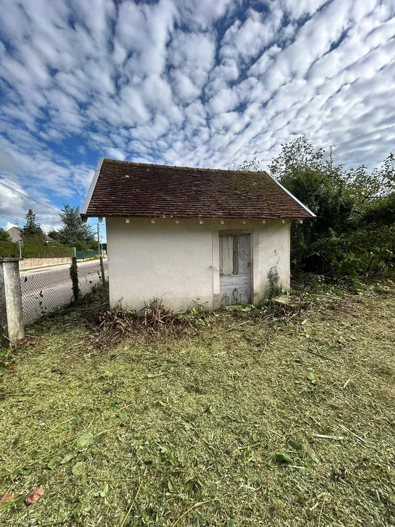 Nettoyage et dégagement de végétation autour d'un bâtiment